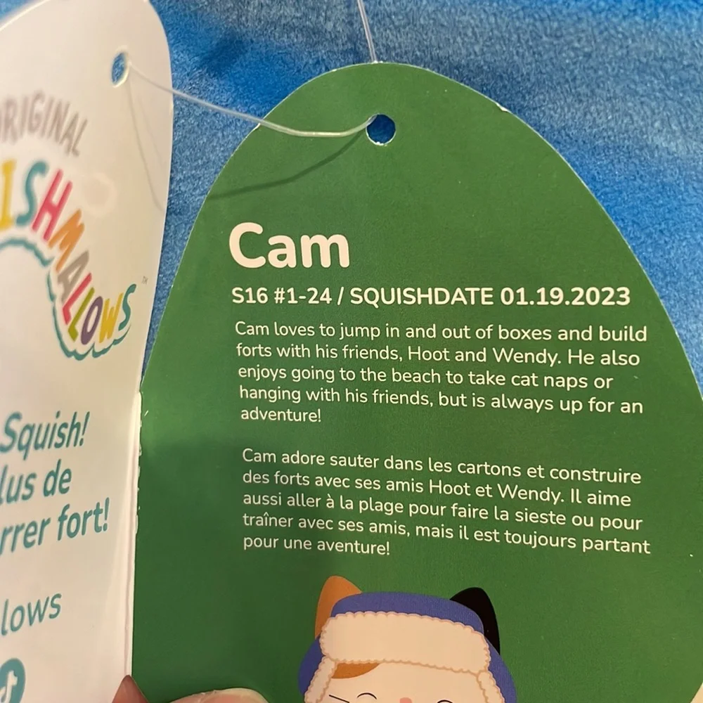 NWT 16” Cam the Cat with Trapper Hat & Scarf Winter / Christmas Squishmallow - Picture 6 of 6